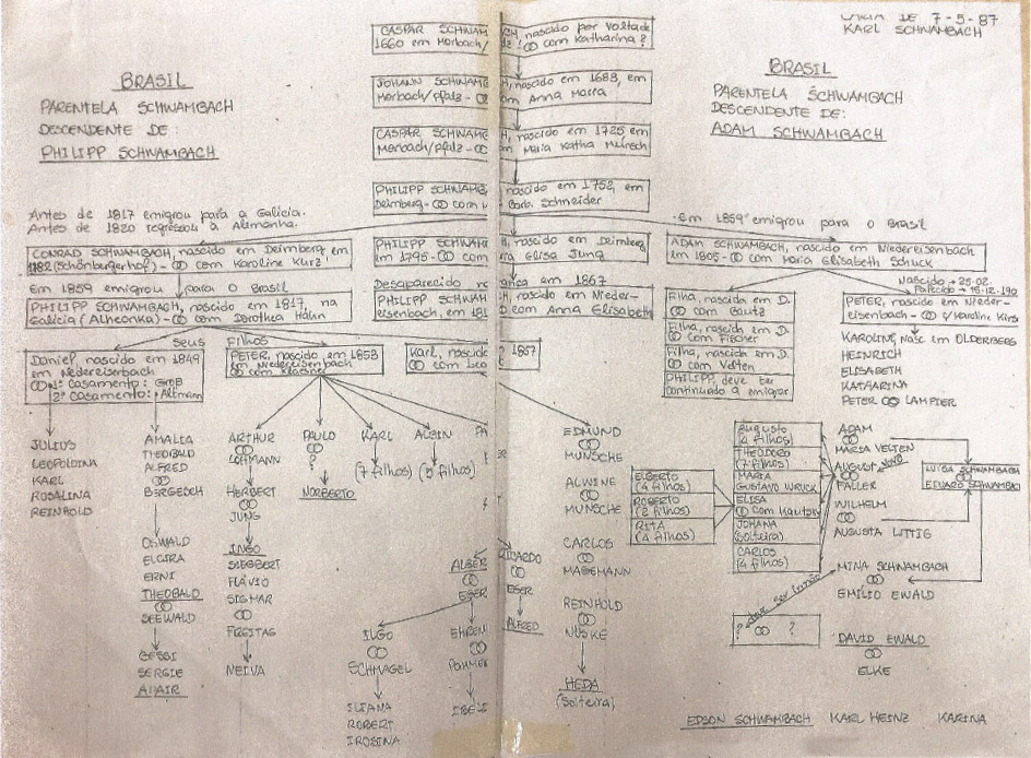 O atributo alt desta imagem está vazio. O nome do arquivo é Heredogramas2.jpg